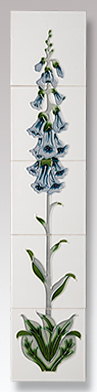 foxglove ivory blue