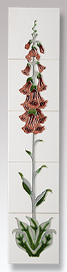 foxglove ivory burgundy