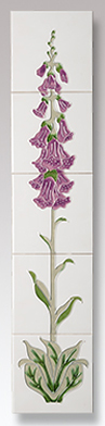 foxglove ivory lilac