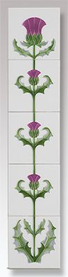 thistle lilac