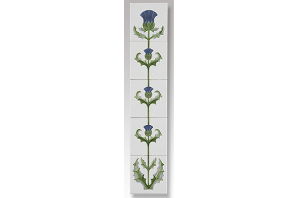 thistle ivory blue